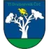 TJ Druzstevnik Circ Football Team Results