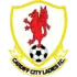 Cardiff City Women Football Team Results