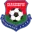 FC Baranovichi Football Team Results
