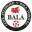 Bala Town Football Team Results