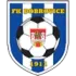 FK Dobrovice Football Team Results