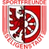 Sportfreunde Seligenstadt Football Team Results