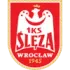 Sleza Wroclaw Football Team Results