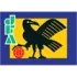 Japan U19 Women Football Team Results
