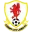 Cardiff City (W) Football Team Results