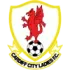 Cardiff City (W) Football Team Results