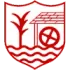 Ballyclare Comrades Football Team Results