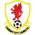 Cardiff City Ladies (W)