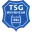 TSG Weinheim Football Team Results