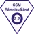 CSM Ramnicu Sarat