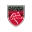 Shimshon Kafr Qasim Football Team Results