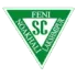 Nofel Sporting Club Football Team Results