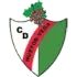 CD Huetor Vega Football Team Results