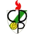 CD Pamplona Football Team Results