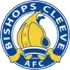 Bishops Cleeve Football Team Results