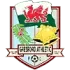 Gresford Ath Football Team Results