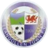 Llangollen Town Football Team Results