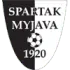 Spartak Myjava Football Team Results