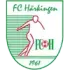 Harkingen Football Team Results