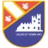 Caldicot Town Football Team Results
