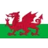 Wales U19 (W) Football Team Results