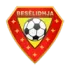 KF Beselidhja Lezhe Football Team Results
