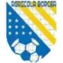 FC Agricola Borcea Football Team Results