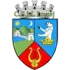 CS Municipal Lugoj Football Team Results