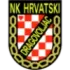 Hrvatski Dragovoljac U19 Football Team Results