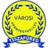 Tiszafured VSE Football Team Results