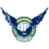 Gainare Tottori Football Team Results