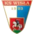 Wisla Pulawy Football Team Results