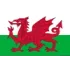 Wales U17 Women Football Team Results