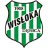 Wisloka Debica Football Team Results