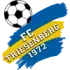 Triesenberg Football Team Results