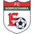 Bobruichanka Women Football Team Results