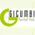 Gicumbi FC