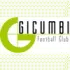 Gicumbi FC Football Team Results