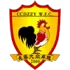 Changchun Dazhong Women Football Team Results