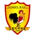 Changchun Dazhong (W) Football Team Results
