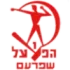 Hapoel Shfaram Football Team Results