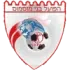 Hapoel Bnei Musmus Football Team Results