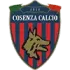Cosenza U19 Football Team Results