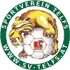 SV Telfs Football Team Results