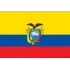 Ecuador Football Team Results
