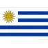Uruguay Football Team Results