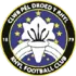 Rhyl Football Team Results