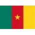 Cameroon Football Team Results