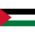 Palestine Football Team Results