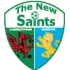 T.N.S. Football Team Results